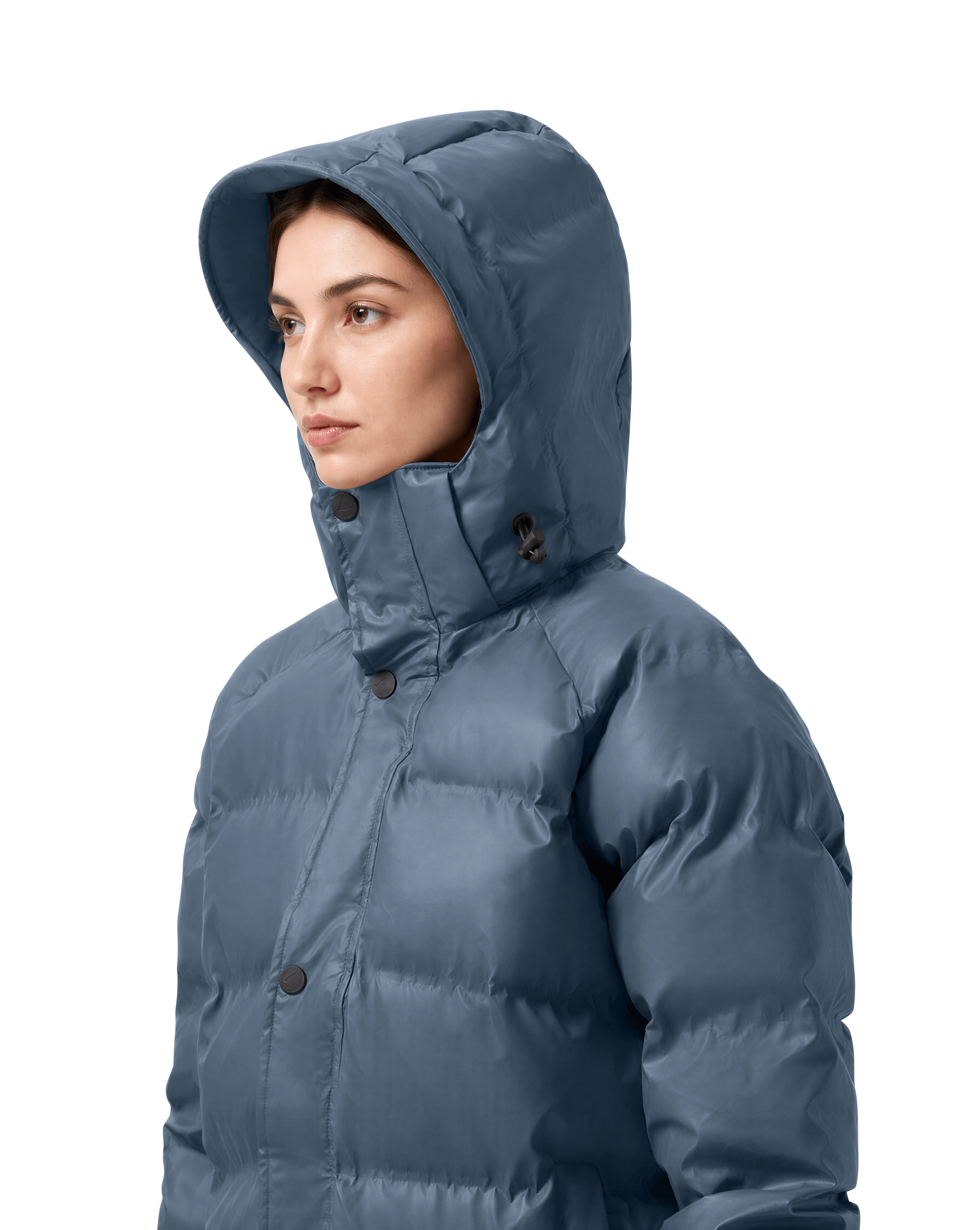 (04) Puffer