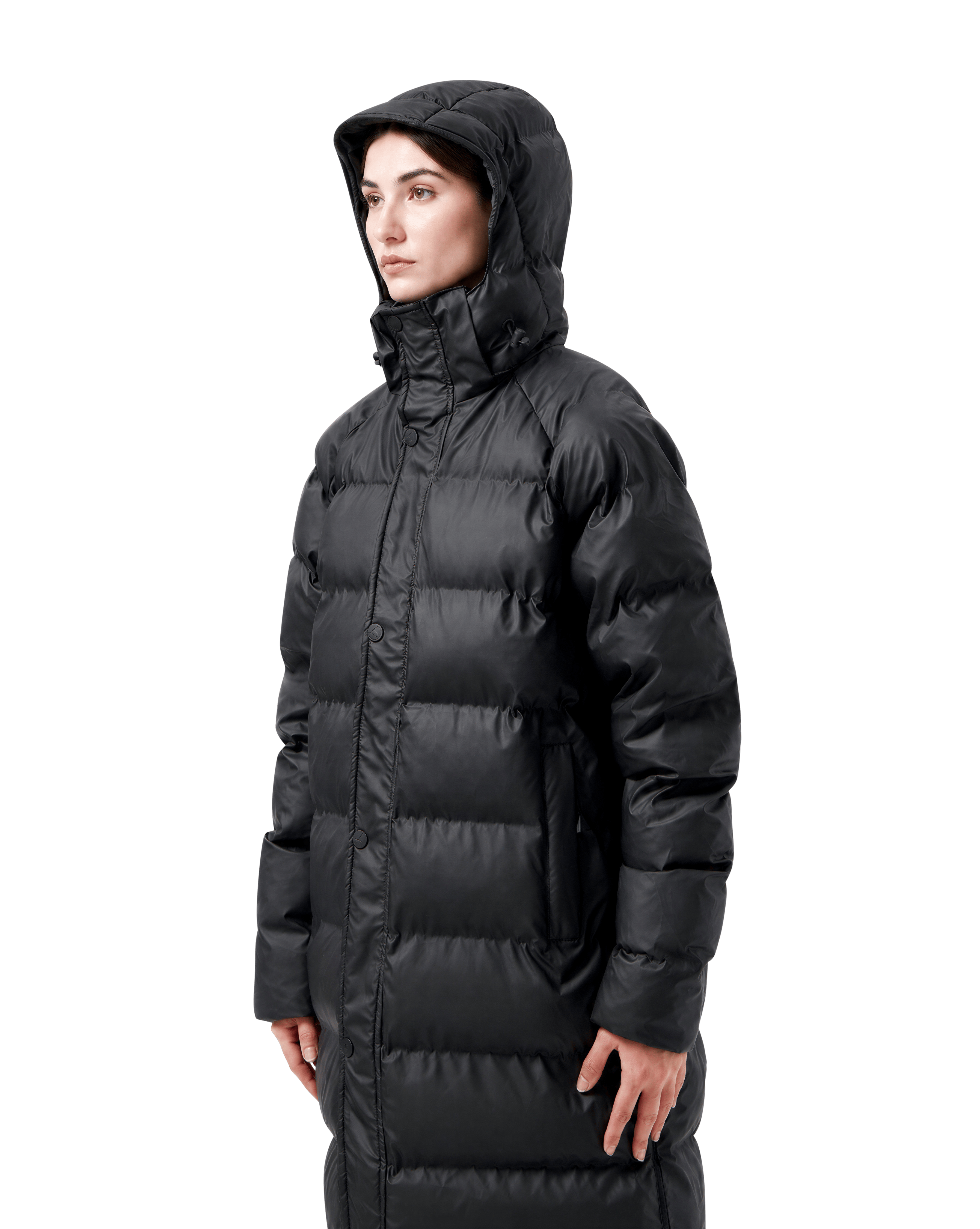 (04) Puffer