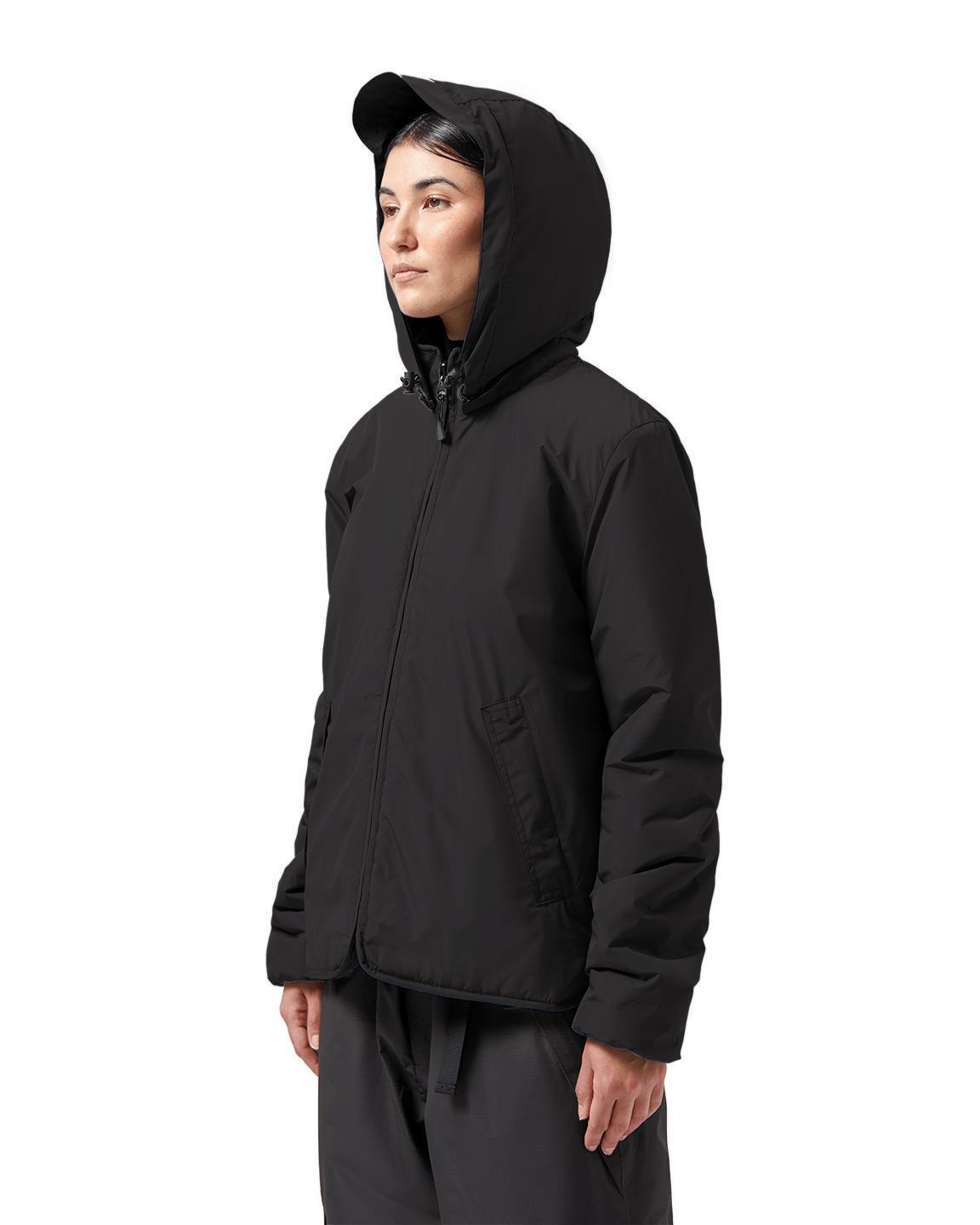 (29) Teddy Windbreaker