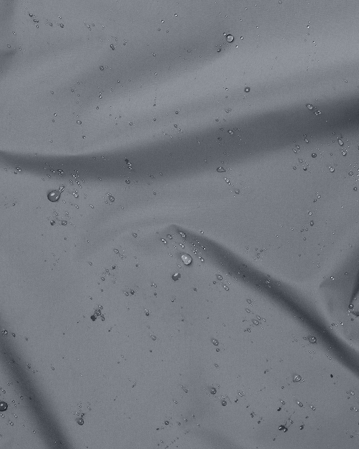 (29) Teddy Windbreaker