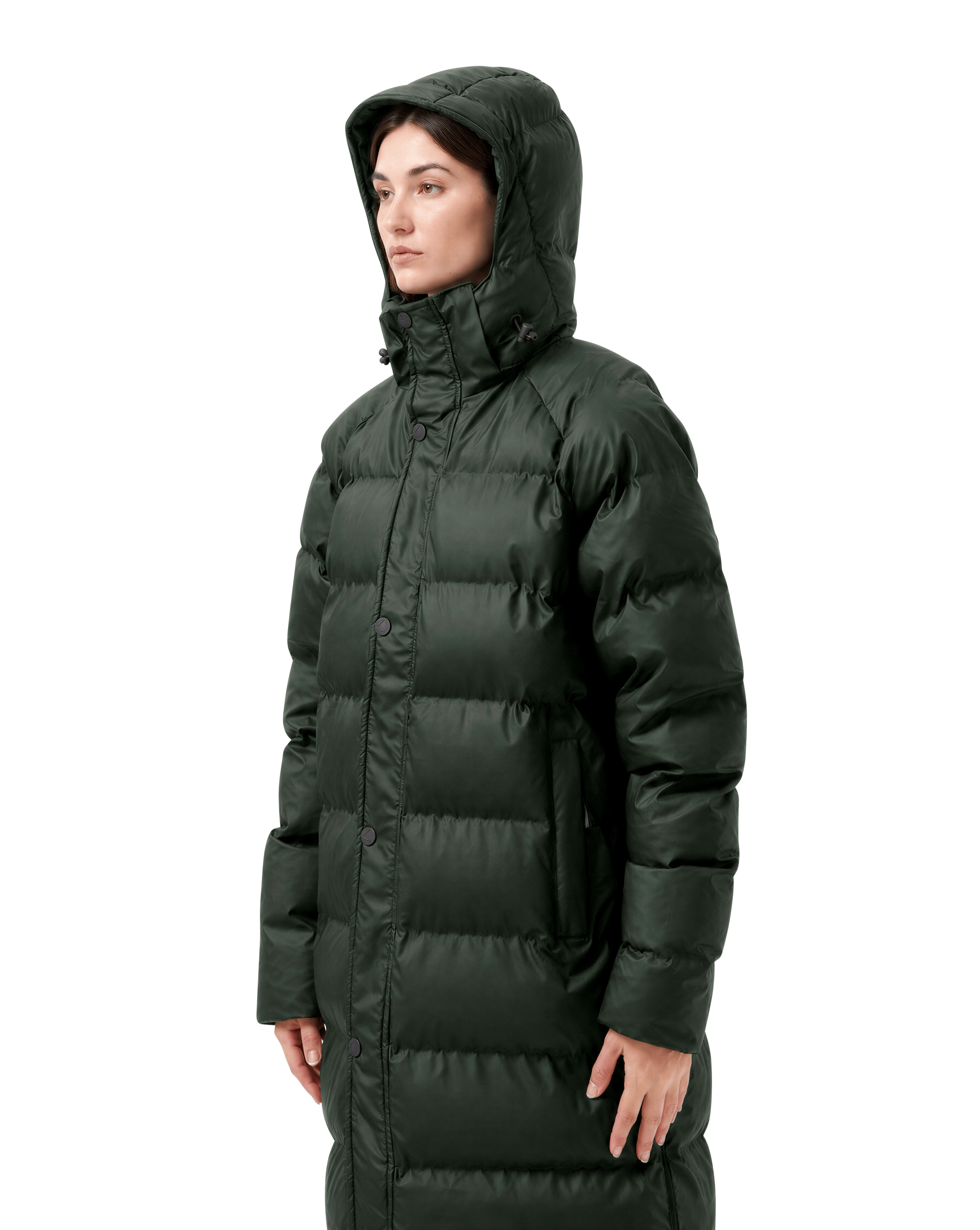(04) Puffer